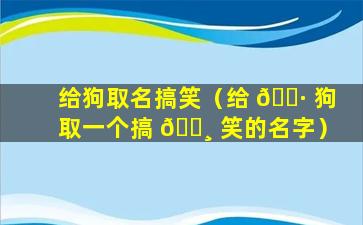 给狗取名搞笑（给 🌷 狗取一个搞 🕸 笑的名字）